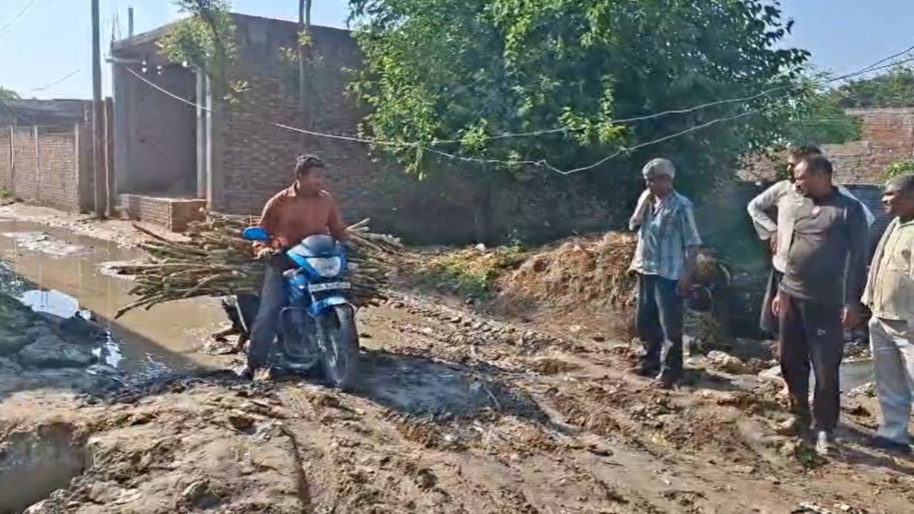 मैनपुरी में बड़ा खतरा! 6 फीट पर लटक रही बिजली लाइन, कभी भी हो सकता है बड़ा हादसा; विभाग क्यों बेपरवाह?