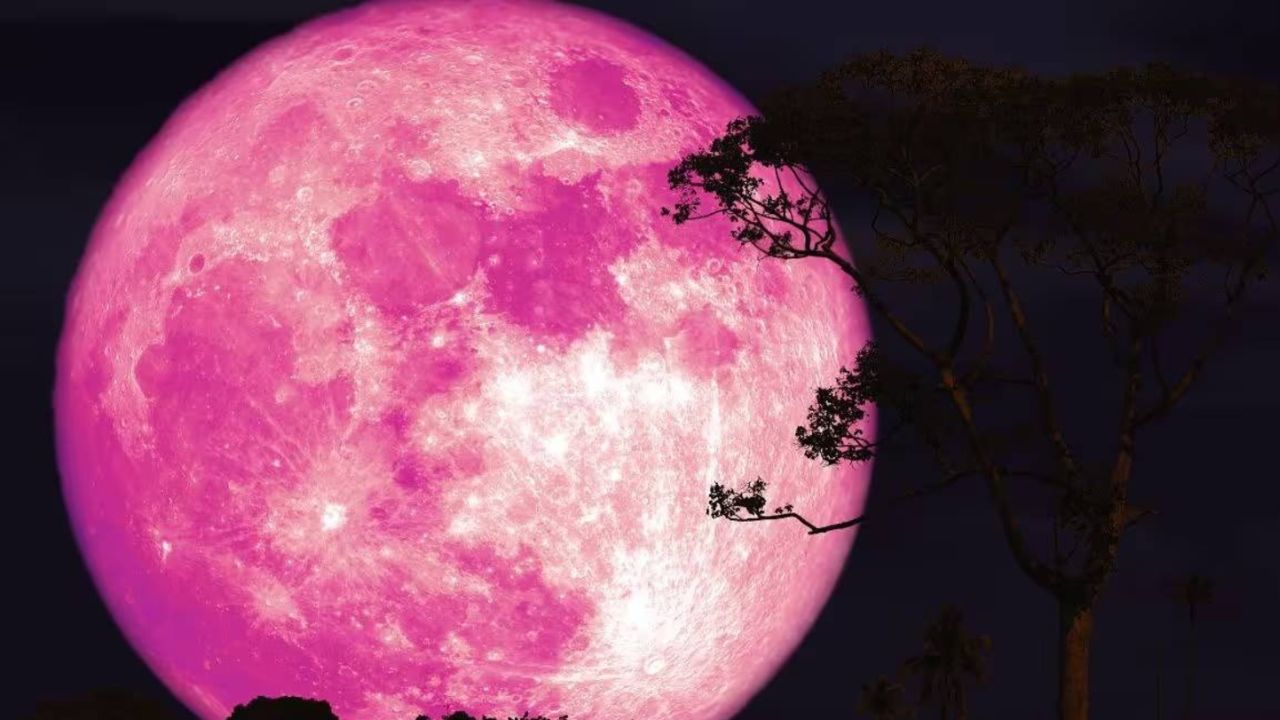 Pink Moon 2026: आज भारत में दिखेगा पिंक मून, जानिए कब और कैसे देख सकेंगे यह अद्भुत खगोलीय नजारा?