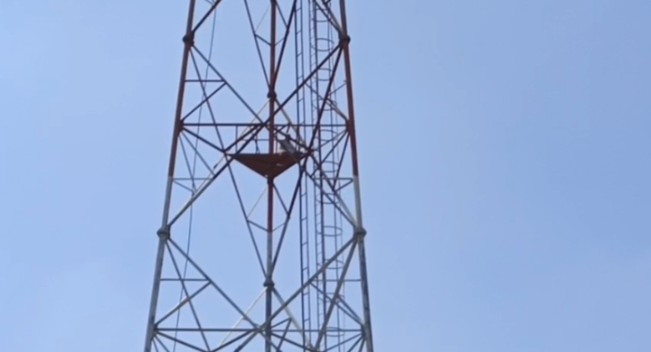 इश्क का ‘हाई वोल्टेज’ ड्रामा: जब मोबाइल टावर बना पंचायत का अखाड़ा, क्या प्रेमी की जिद हुई पूरी? जानें पूरा मामला