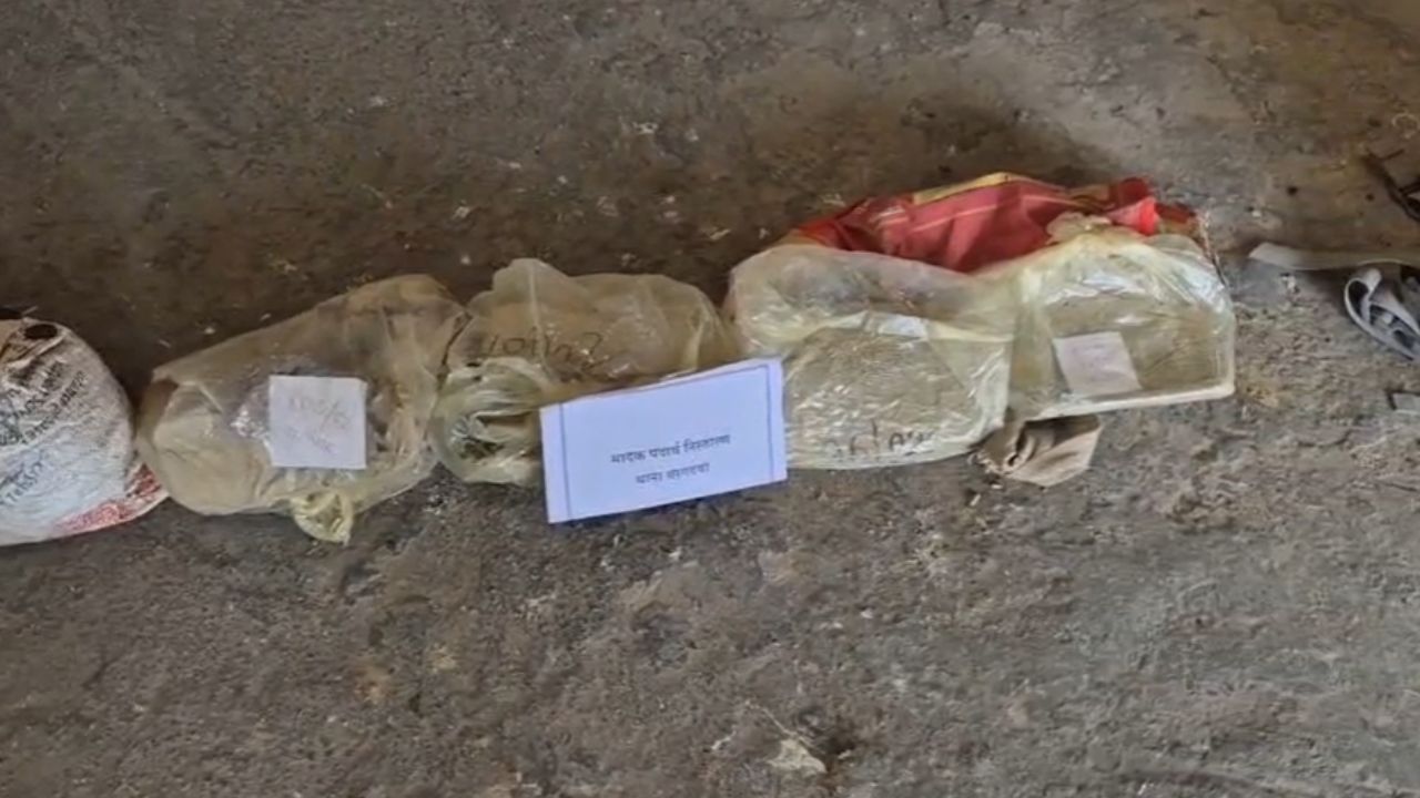 महराजगंज पुलिस ने ऑपरेशन दहन के तहत नशा तस्करों के नेटवर्क पर कसा शिकंजा