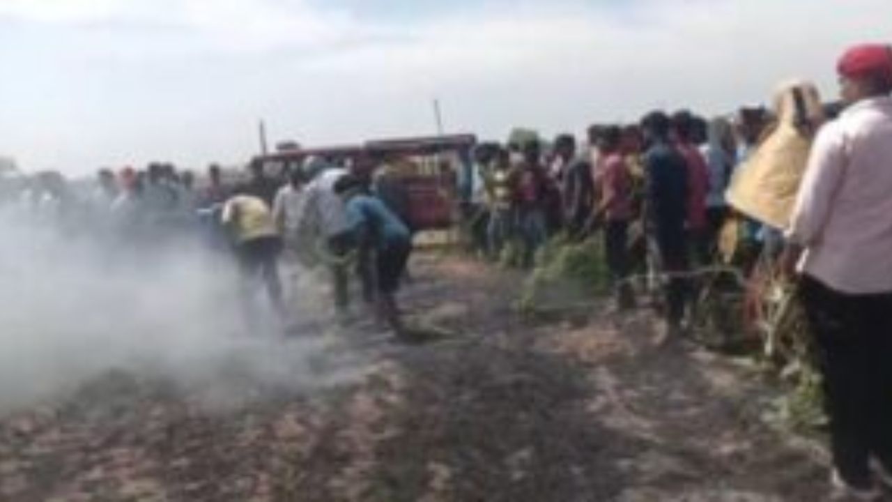 UP News: गोरखपुर में भीषण अग्निकांड, 50 एकड़ गेहूं की फसल जलकर राख