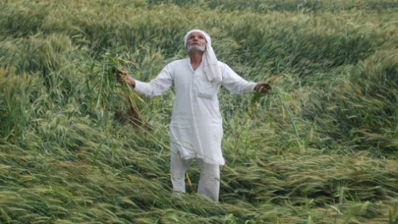 बेमौसम बारिश से बदायूं में हजारों किसानों के सपनों को धोया, अब कैसे होगी बेटियों की शादी और…
