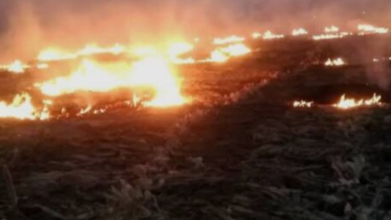 गोरखपुर में आग का कहर! मिनटों में राख हुई किसानों की मेहनत, गांव में अफरा-तफरी