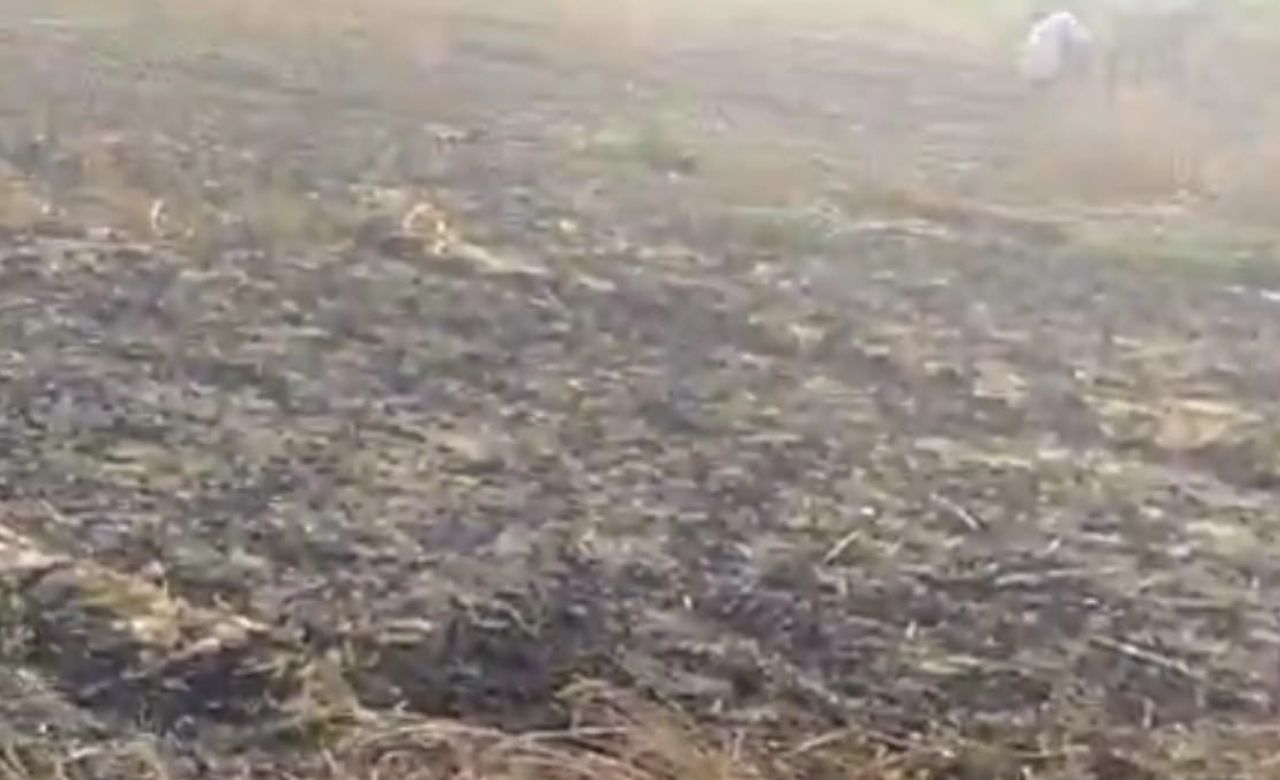फर्रुखाबाद में आग से किसान की फसल राख, 3 बीघा गेहूं बर्बाद, परिवार पर टूटा संकट