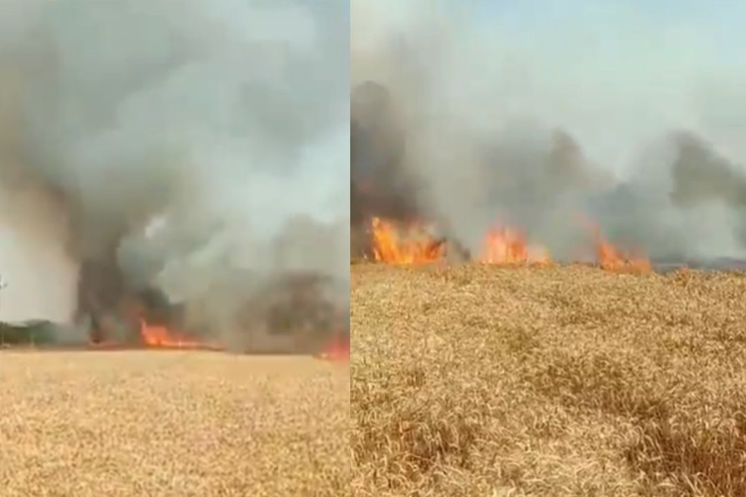 देवरिया में चिंगारी ने जला दी साल भर की मेहनत! किसानों में मचा हाहाकार