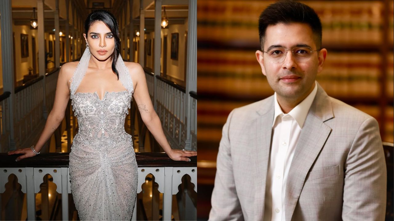 जीजू के लिए प्रियंका चोपड़ा का इमोशनल सपोर्ट! एक कमेंट ने मचा दी सियासी और सोशल मीडिया में हलचल