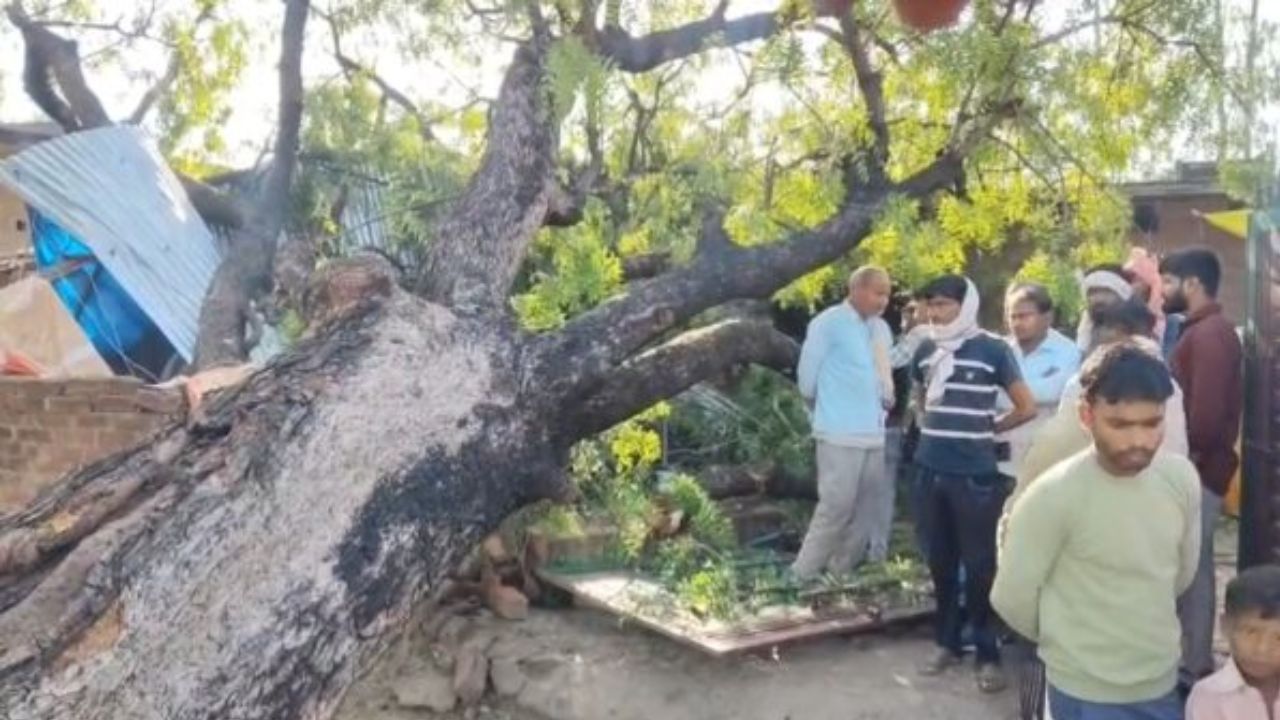 एक ही दिन में बरपा तीन कहर: पेड़, खंभा और सड़क हादसे ने छीनी जिंदगियां; रायबरेली में मातम का मंजर