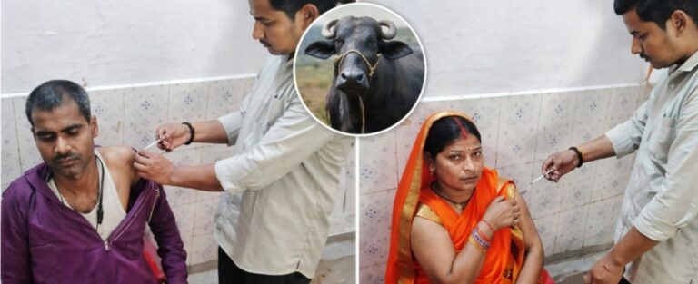 गोरखपुर: भैंस का दूध पीने वाले 30 लोगों को लगा एंटी-रेबीज इंजेक्शन, जानिये क्यों आई ऐसी नौबत
