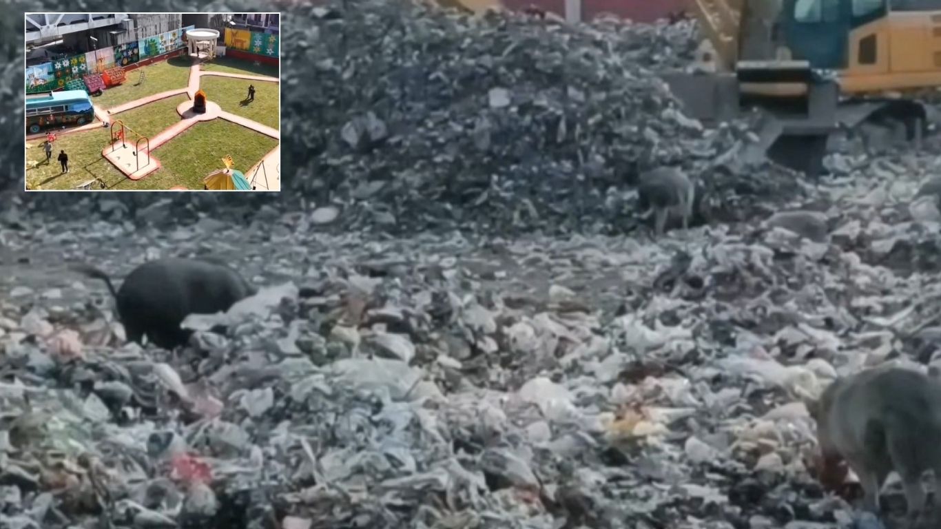 गंदगी से खूबसूरती तक: कूड़े के ढेर से ‘Wonder’ बना Park, DM के आदेश से बदली तस्वीर