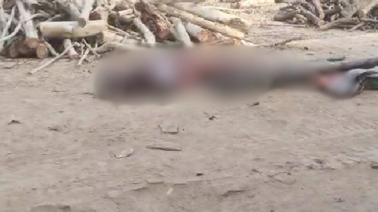 अमेठी में धर्मकांटा पर सो रहे चौकीदार को ट्रक ने कुचला, दर्दनाक मौत से मचा हड़कंप