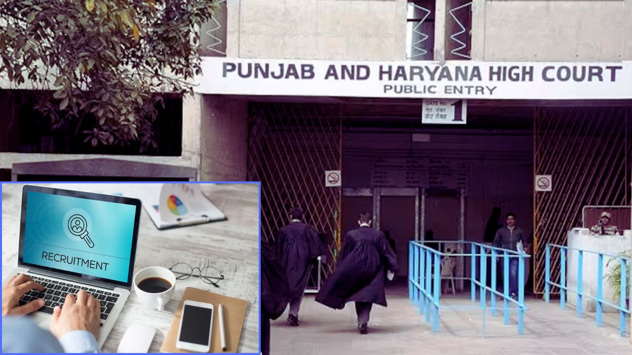 पंजाब-हरियाणा हाईकोर्ट में 1265 क्लर्क भर्ती, ग्रेजुएट युवाओं के लिए बड़ा मौका, जानिए पूरी प्रक्रिया