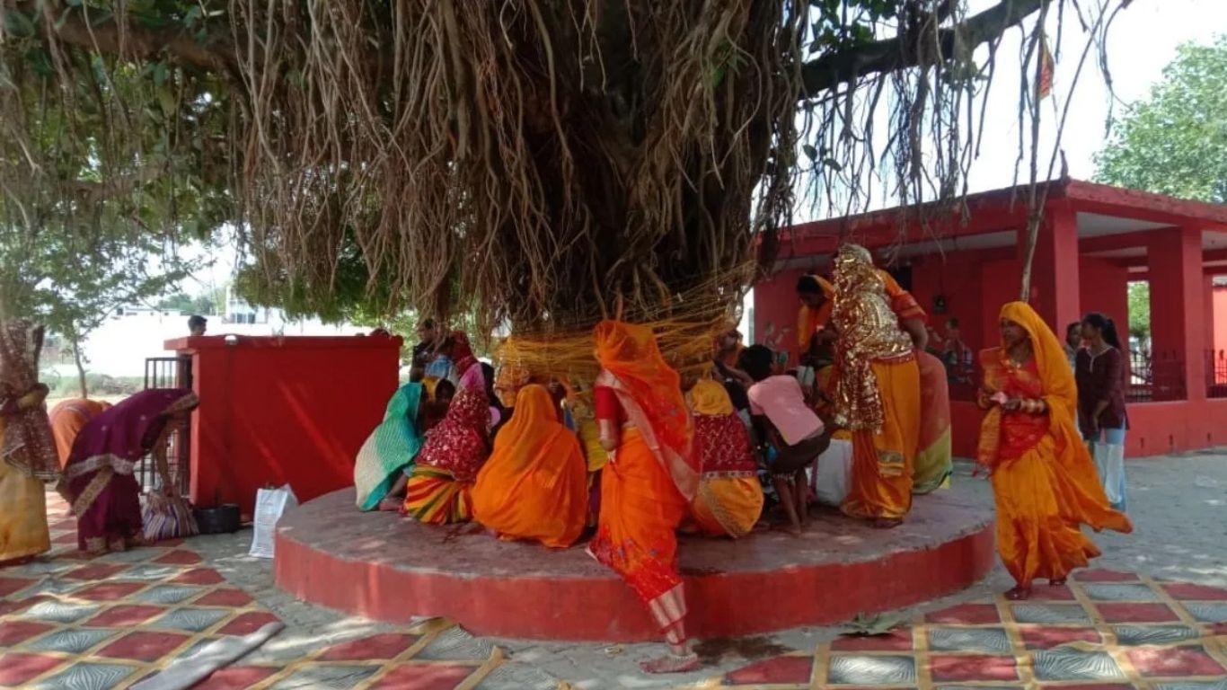 Auraiya News: औरैया में सुहागिनों ने वट वृक्ष पर सूत लपेटकर मांगा अखंड सुहाग का वरदान