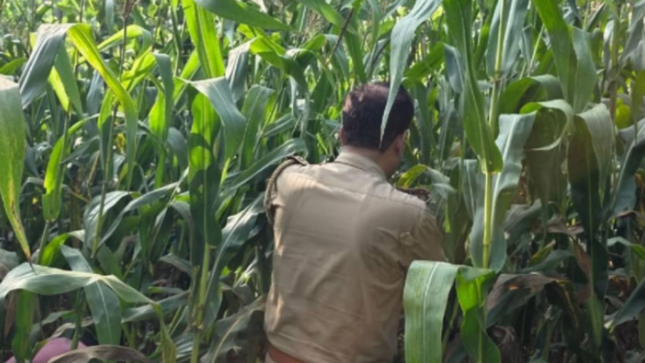 बाग से आम तोड़ने गई थी मासूम बच्ची, लेकिन घर लौटी बिना कपड़े की लाश, पढ़ें बहराइच का सनसनीखेज मामला