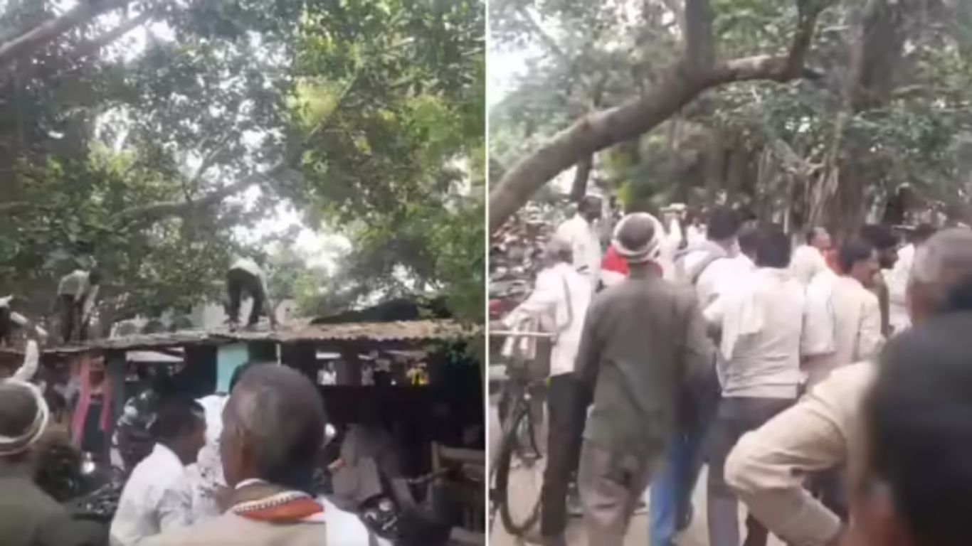 Bulandshahr News: अचानक आसमान से बरसने लगे नोट, सड़क पर मच गई लूट जैसी स्थिति; जानिए पूरा मामला