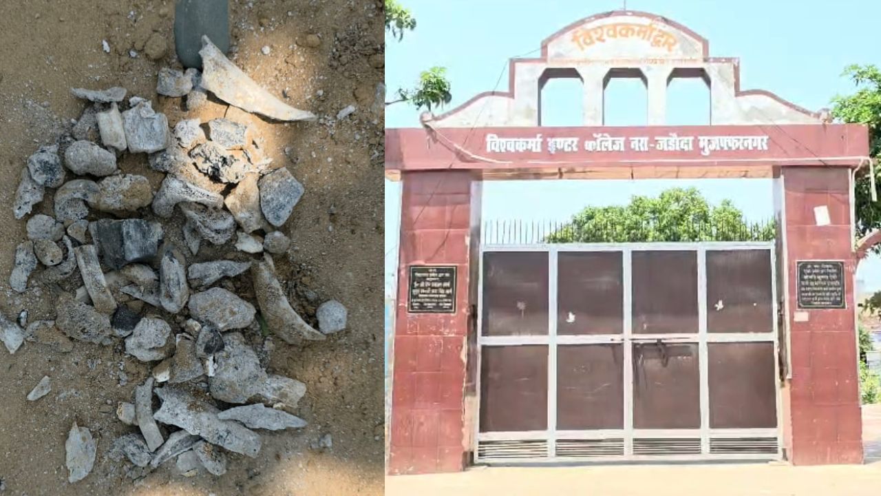 मुजफ्फरनगर : कॉलेज में क्या दबाया गया था? खुदाई के बाद मचा हड़कंप