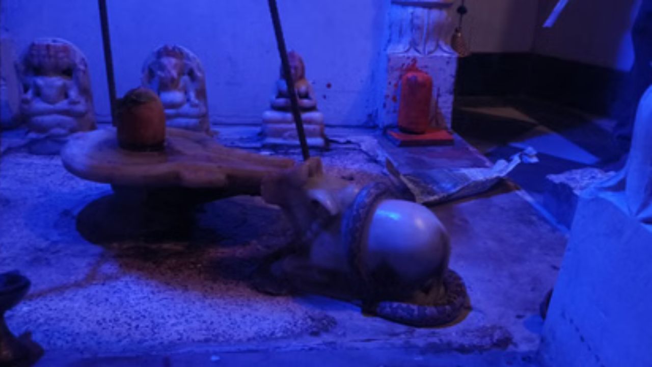 Mathura News: मंदिर में नंदी महाराज से लिपटा मिला अजगर, श्रद्धालुओं में कौतूहल