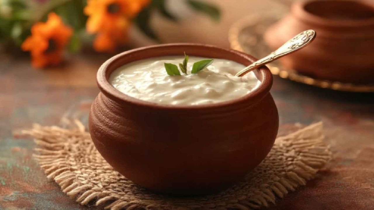 ऐसे में पेट की आग को शांत और शरीर को हाइड्रेटेड रखने के लिए दही से बनी डिशेज को अपनी डाइट में शामिल करना काफी फायदेमंद साबित हो सकता है। दही में मौजूद प्रोबायोटिक्स और पोषक तत्व पेट को अंदर से ठंडक पहुंचाते हैं। आइए जानते हैं गर्मियों की ऐसी ही 5 टेस्टी और हेल्दी डिशेज के बारे में। (Img- Internet)