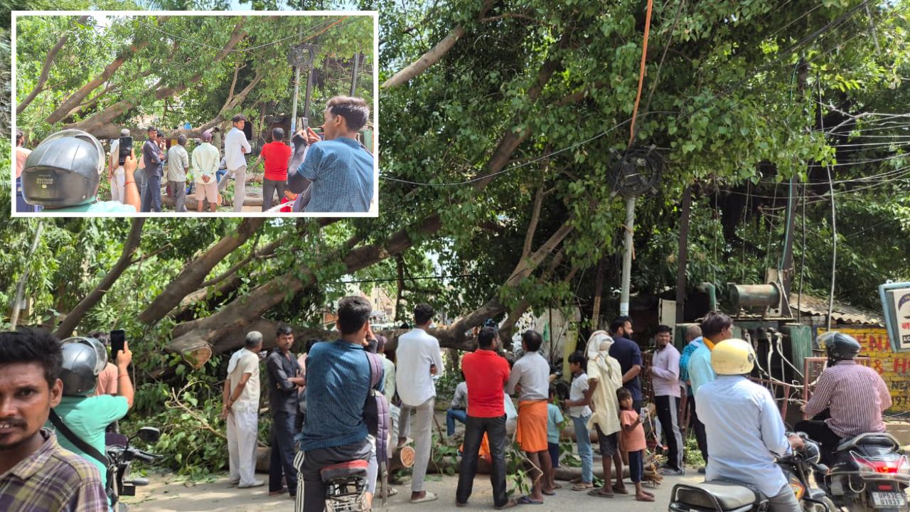 इतना विशाल बरगद आखिर अचानक कैसे गिर गया? गोरखपुर में लोगों के बीच बना रहस्य