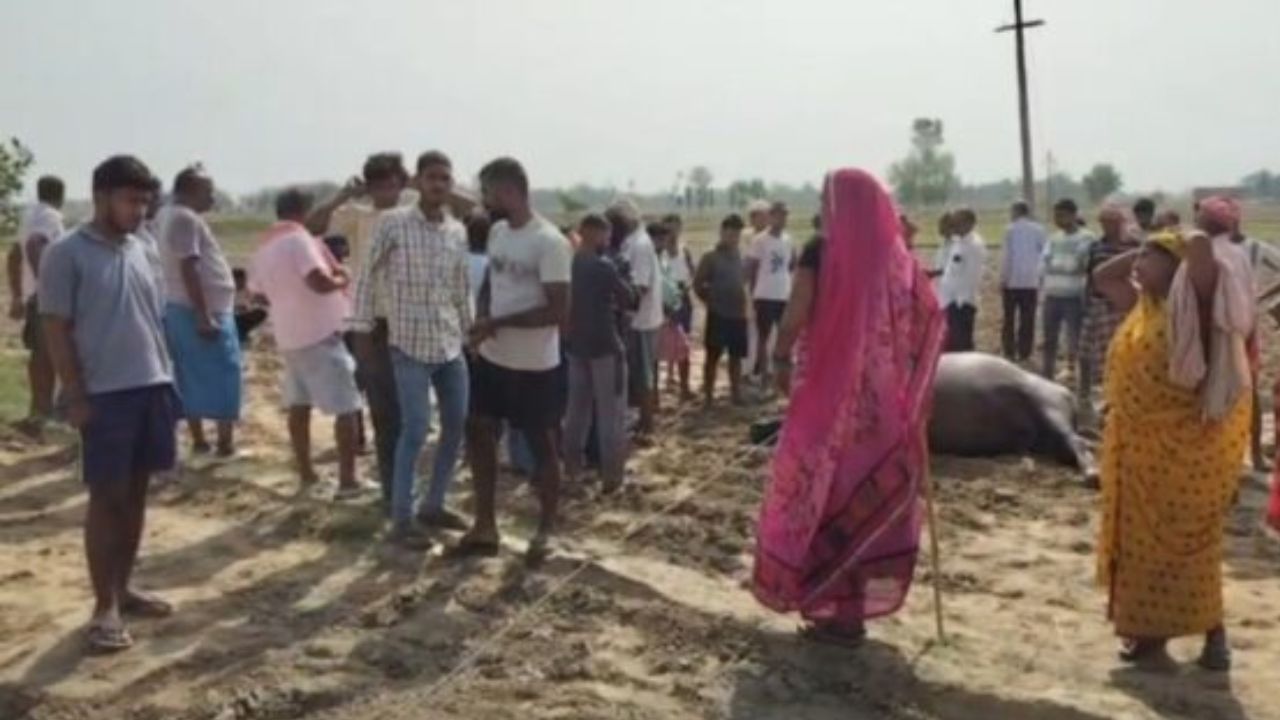 जर्जर खंभा टूटा, हाईटेंशन तार गिरा… एक झटके में उजड़ गया किसान का सब कुछ
