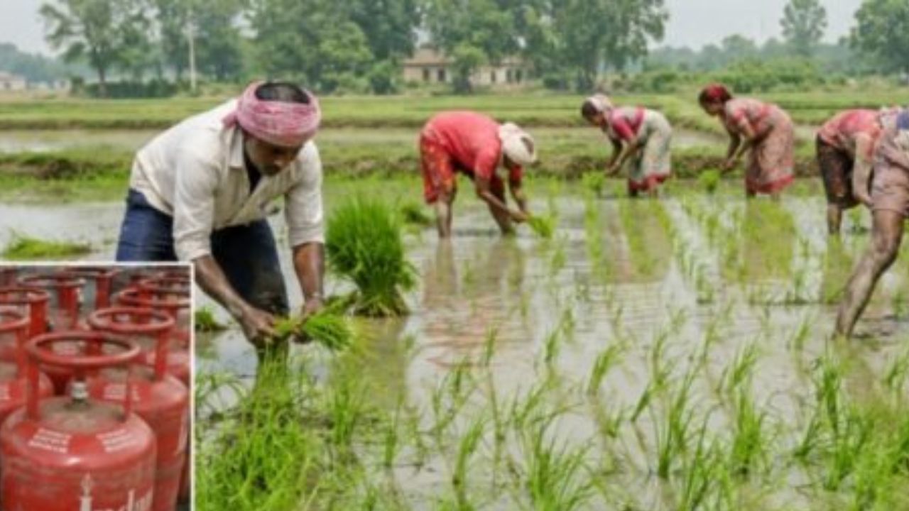 गोरखपुर में धान रोपाई से पहले प्रशासन अलर्ट, डीजल-पेट्रोल सप्लाई पर खास नजर