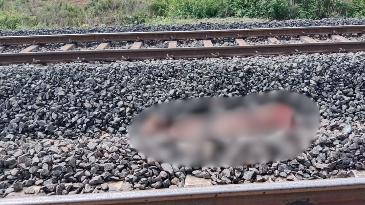 Gorakhpur Crime: गांहासाड़ रेलवे ट्रैक पर मिला अज्ञात बुजुर्ग का क्षत-विक्षत शव, इलाके में सनसनी