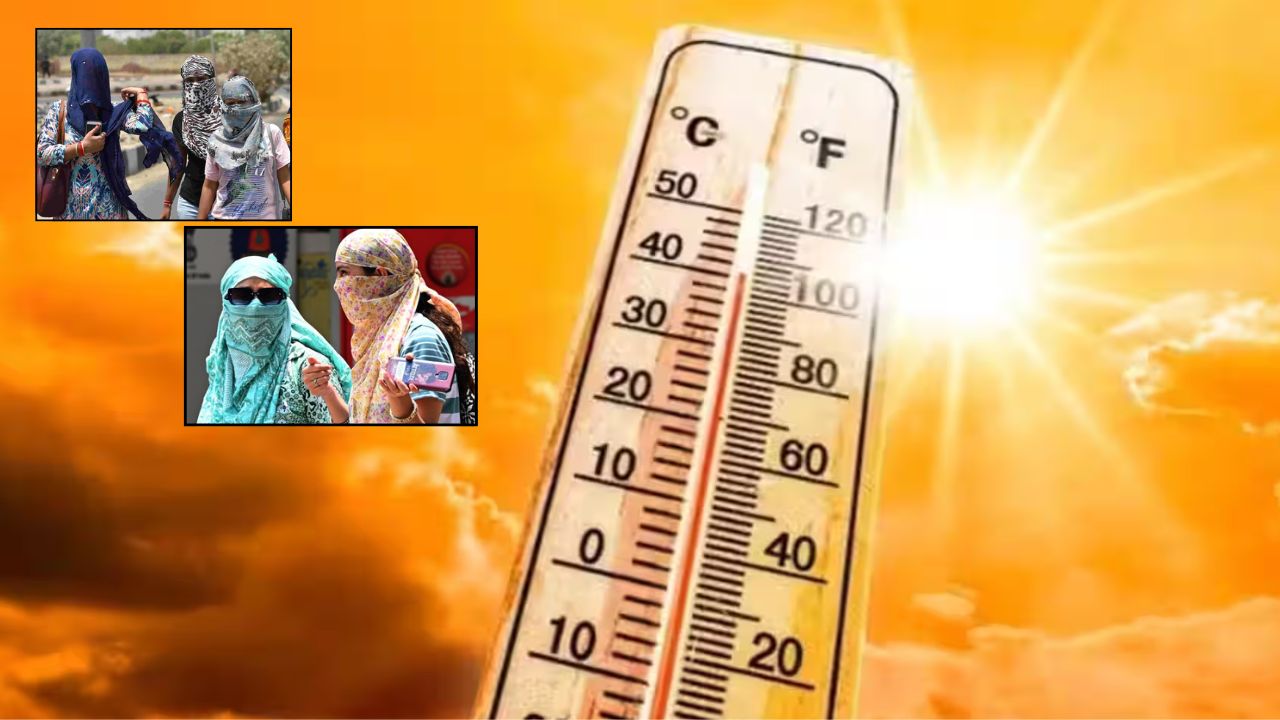 Heat Wave in Punjab-Haryana: पंजाब-हरियाणा में लू का कहर, सिरसा और फरीदकोट में पारा 46 डिग्री पार