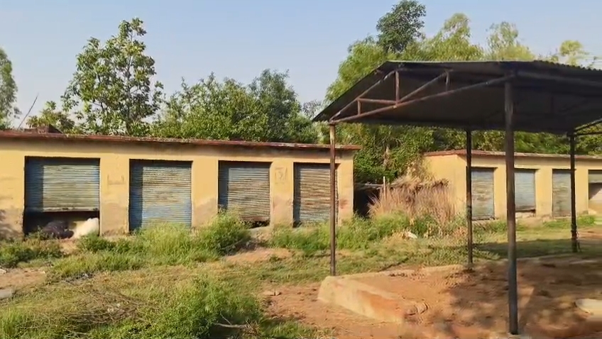 Raebareli News :10 साल में ‘तबेला’ बनी सरायं मुगल की सरकारी मार्केट, लाखों का बजट स्वाहा