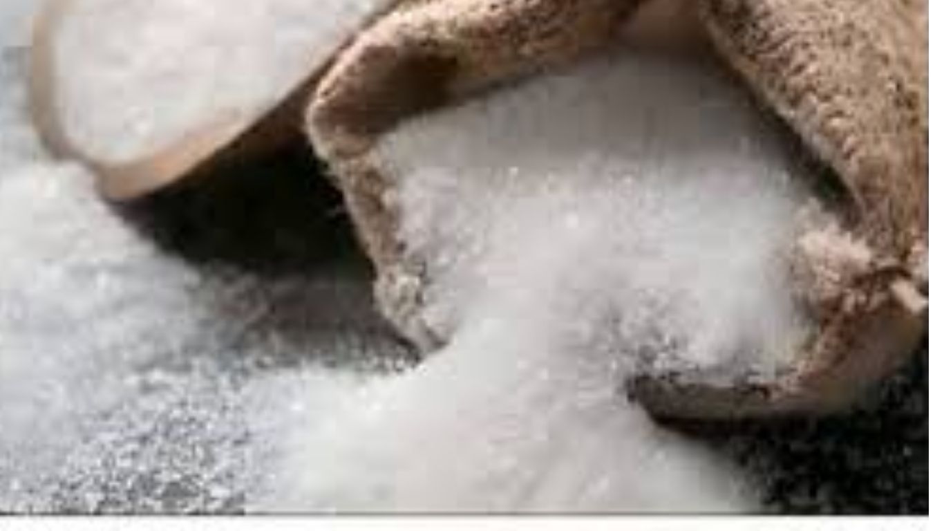 Sugar Export Ban India: भारत ने चीनी निर्यात पर लगाया ‘ब्रेक’: वैश्विक बाजार में मची हलचल, जानें क्या होगा असर