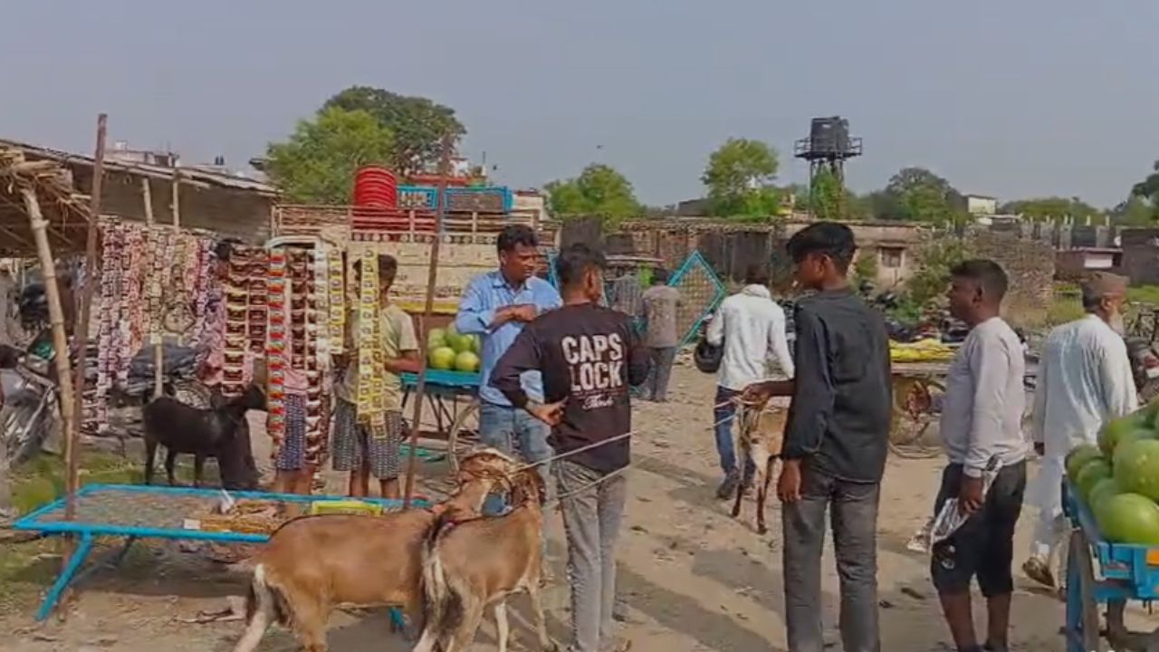 बकरा ईद के त्योहार को देखते हुए इस बार मंडी में पिछले वर्षों की तुलना में ज्यादा भीड़ देखने को मिली। कोल्हुई बकरा मंडी स्थानीय अर्थव्यवस्था को भी मजबूती प्रदान करती है और किसानों व पशुपालकों के लिए अच्छी आमदनी का साधन साबित होती है।