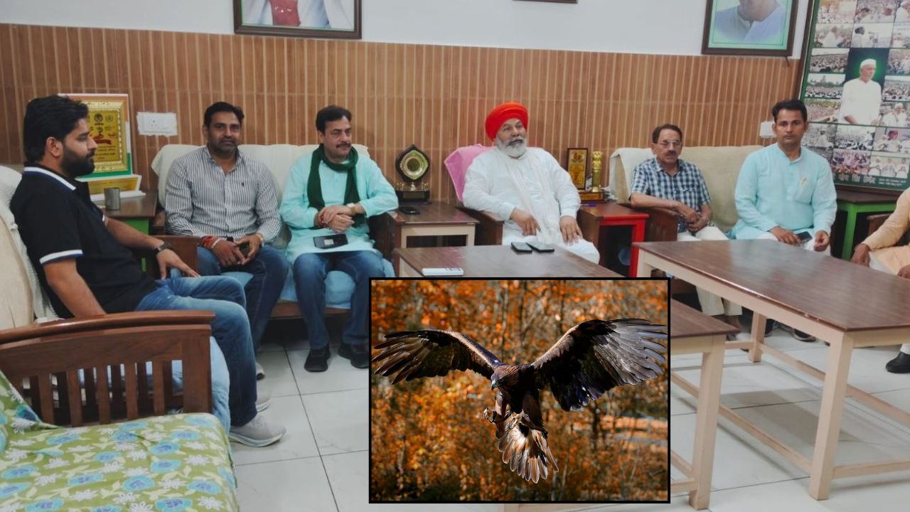 इंसानों के बाद पक्षियों पर हीटवेव की मार, मुजफ्फरनगर में कई चीलों की बिगड़ी हालत