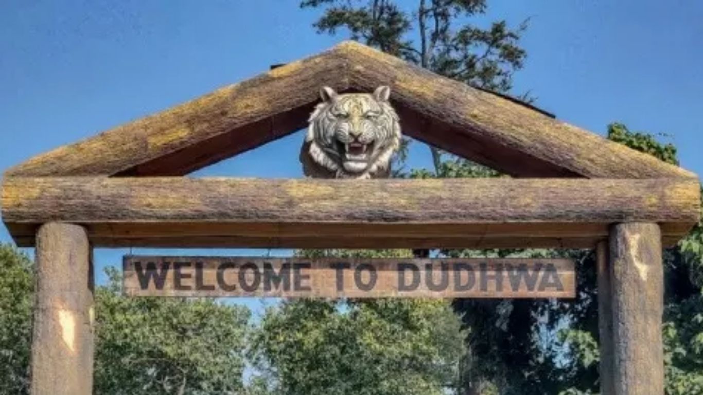 अगर आप नेचर और वाइल्डलाइफ के शौकीन हैं, तो दुधवा नेशनल पार्क आपके लिए शानदार विकल्प हो सकता है। यहां हिरण, हाथी और कई दुर्लभ पक्षियों को करीब से देखने का मौका मिलता है। दोस्तों के साथ रोड ट्रिप और जंगल सफारी का रोमांच आपकी यात्रा को यादगार बना सकता है। यहां आसपास सस्ते होटल और गेस्ट हाउस भी आसानी से मिल जाते हैं।