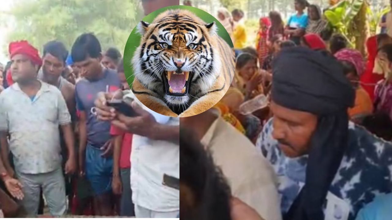 खेत में घास काट रही थी महिला, तभी झाड़ियों से निकला ‘मौत का शिकारी’; बहराइच में दहला देने वाला हमला