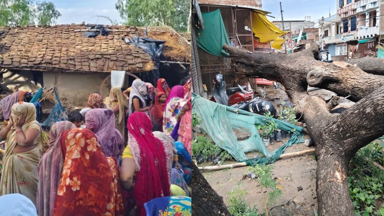प्रयागराज-प्रतापगढ़-कौशांबी में आंधी-बारिश का कहर: मां-बेटे समेत 6 की मौत, सैकड़ों पेड़ गिरे