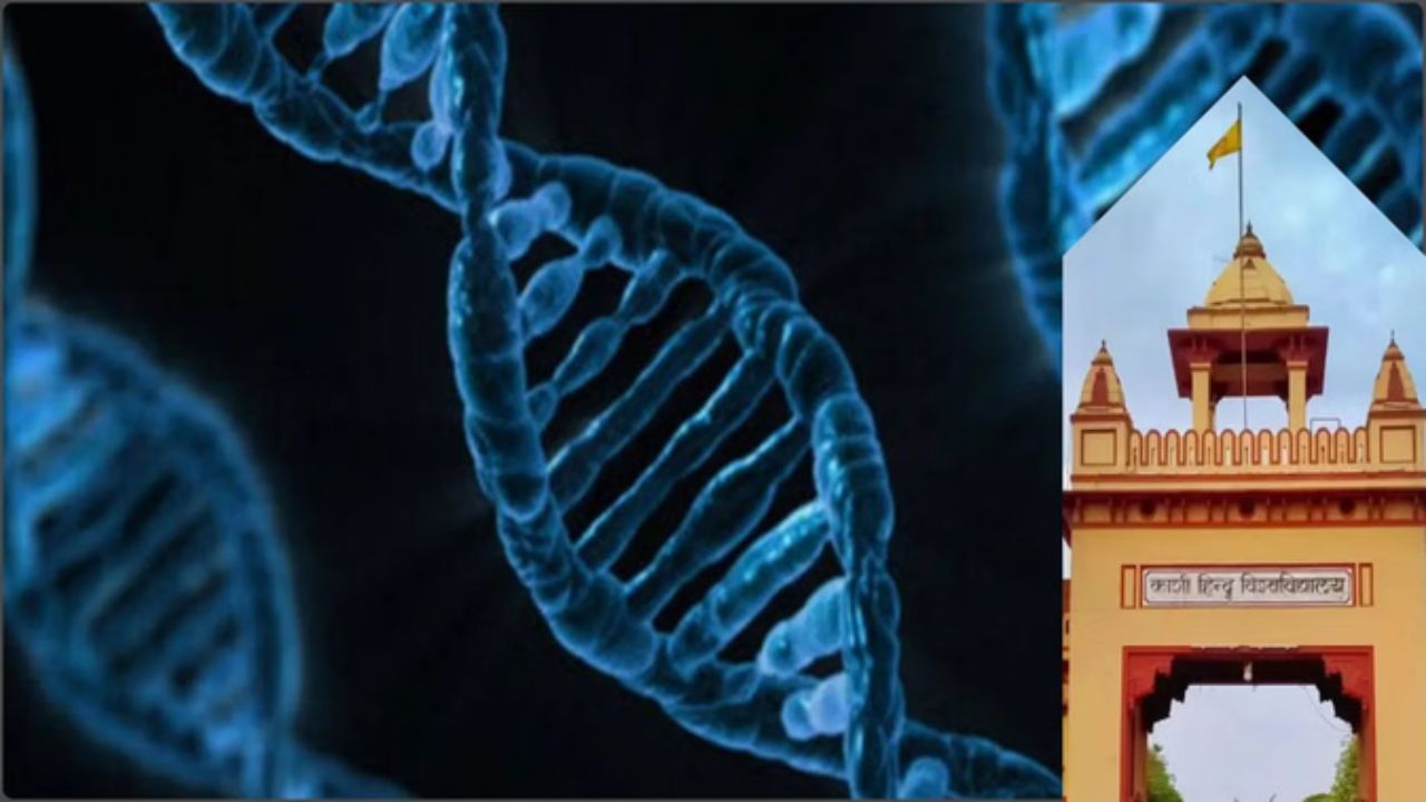 57 हजार साल पुराना रहस्य! BHU के DNA रिसर्च में रामसेतु को लेकर चौंकाने वाला दावा