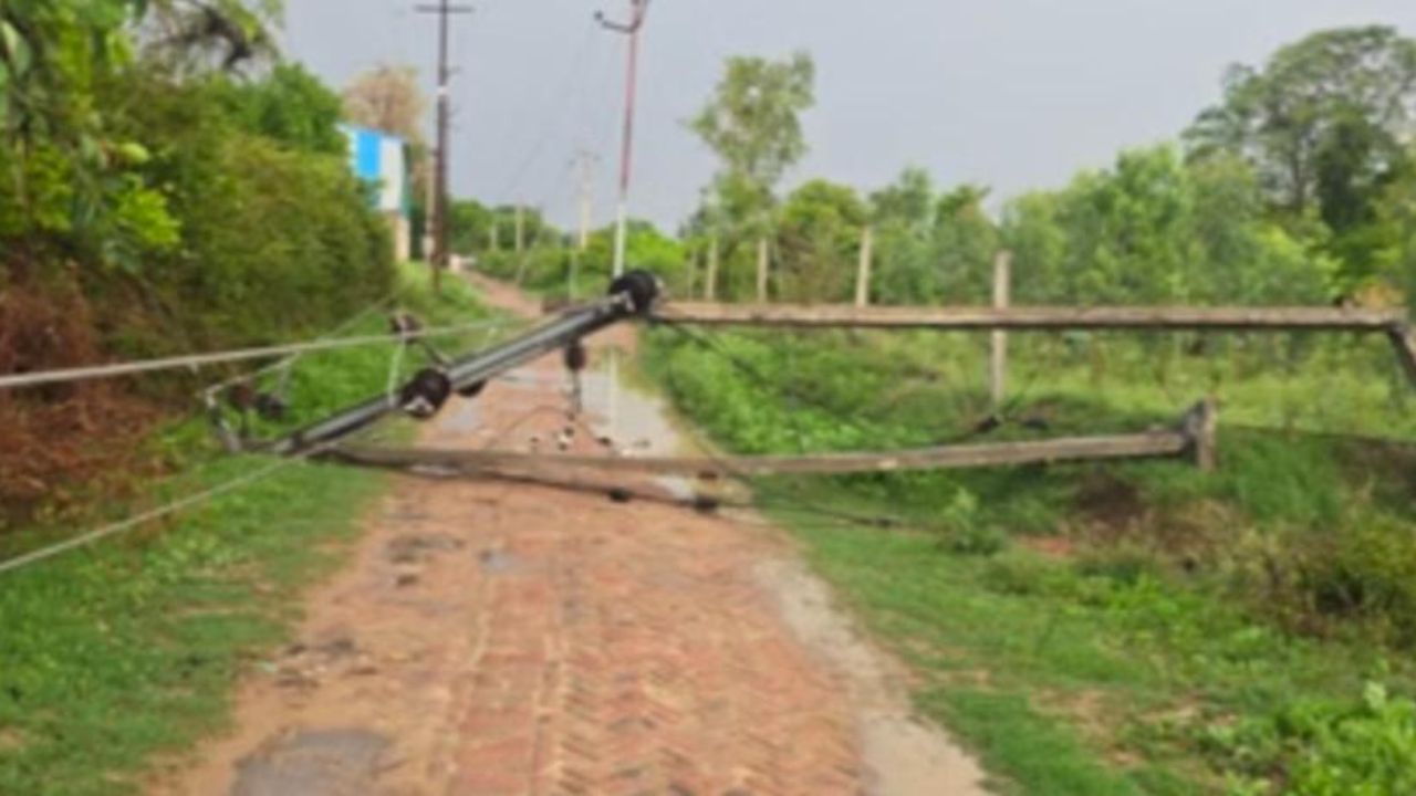 बरेली में आंधी का तांडव, पेड़ के नीचे दबकर छात्रा और बुजुर्ग महिला की मौत
