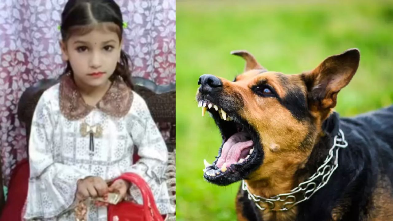 सहारनपुर में कुत्ते के काटने पर मुंह से निकला झाग, मासूम की मौत, तीन हजार लोग…