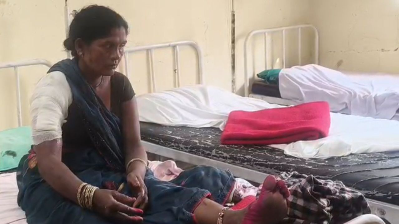 पशुओं के बाड़े में अचानक पहुंचा शख्स, दहलने के बाद भी ग्रामीण बहु के साहस को कर रहे सलाम