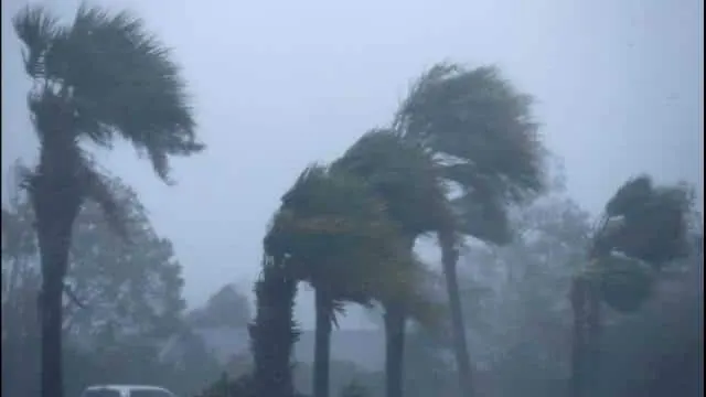 Weather Update: दिल्ली-एनसीआर में पलटा मौसम का रुख; भीषण गर्मी के बीच आंधी, बारिश और ओलावृष्टि, 15 डिग्री तक लुढ़का पारा
