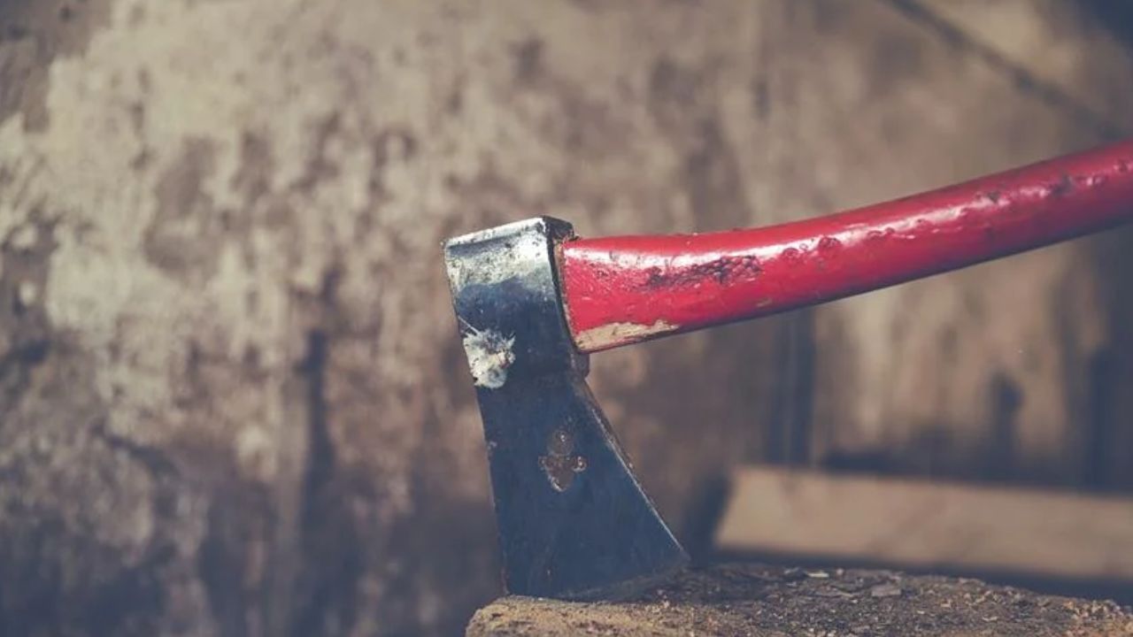 80 साल के नाना ने कुल्हाड़ी से काटकर 72 साल की नानी को मार डाला, कारण जानने पर सब बोले- ये असंभव है