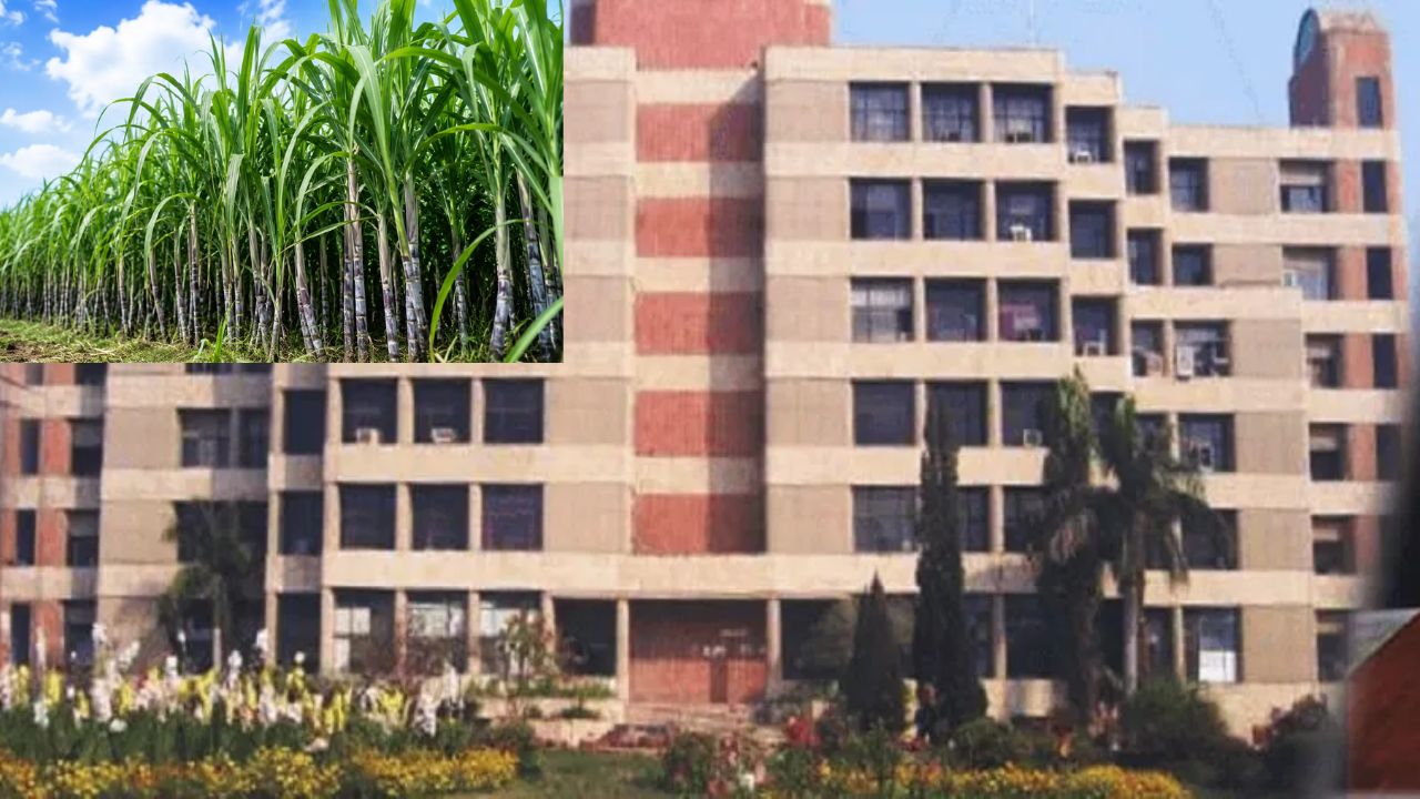UPSSSC: यूपी में कृषि स्नातक के छात्रों के लिए बंपर नौकरी, ऐसे मिलेगी नौकरी
