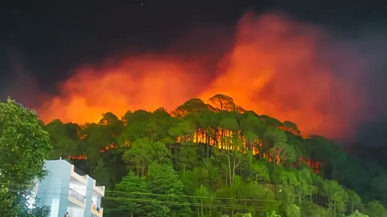 Nainital News: भवाली में धूं-धूं कर जला घोड़ाखाल से सटा जंगल, वन विभाग ने लाइन काटकर बचाया रिहाइशी इलाका