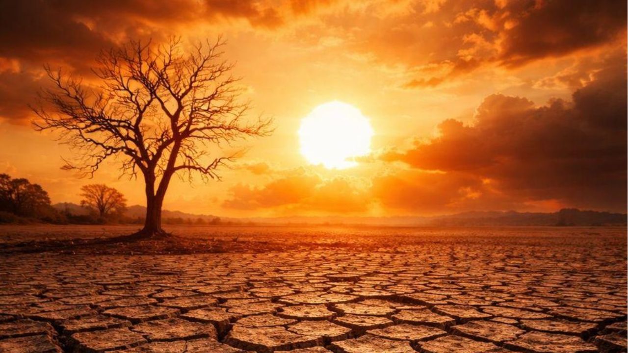 Nautapa 2026: नौ दिन का ऐसा ‘आग का दौर’ जब सूरज दिखाएगा अपना असली कहर! ये 10 गलतियां पड़ सकती हैं भारी