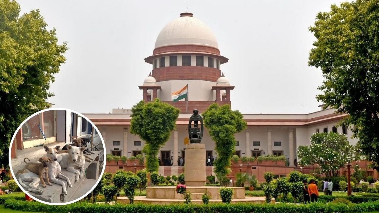 सुप्रीम कोर्ट का बड़ा फैसला: स्कूल, अस्पताल और रेलवे स्टेशन से हटेंगे स्ट्रे डॉग्स, सड़क पर दिखे तो होगी कार्रवाई!