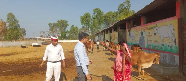 मदनपुरा गौशाला में अव्यवस्थाओं पर सीडीओ सख्त, लापरवाही पर दी कड़ी कार्रवाई की चेतावनी
