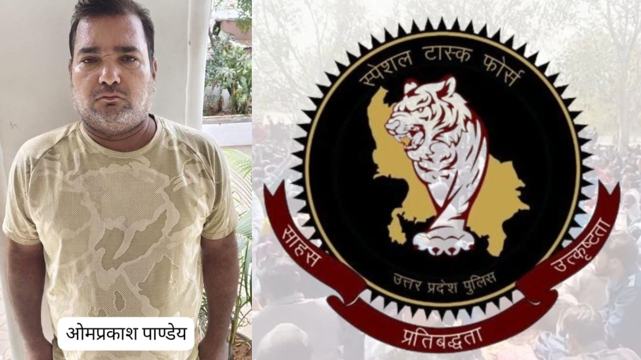 साइबर ठगी का मास्टरमाइंड चढ़ा UP STF के हत्थे, महाराजगंज से निकला नेटवर्क