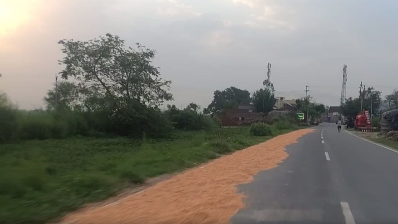 सड़क पर बिछी मक्का या मौत का जाल? हर दिन गुजर रहे लोग बन रहे खतरे का शिकार