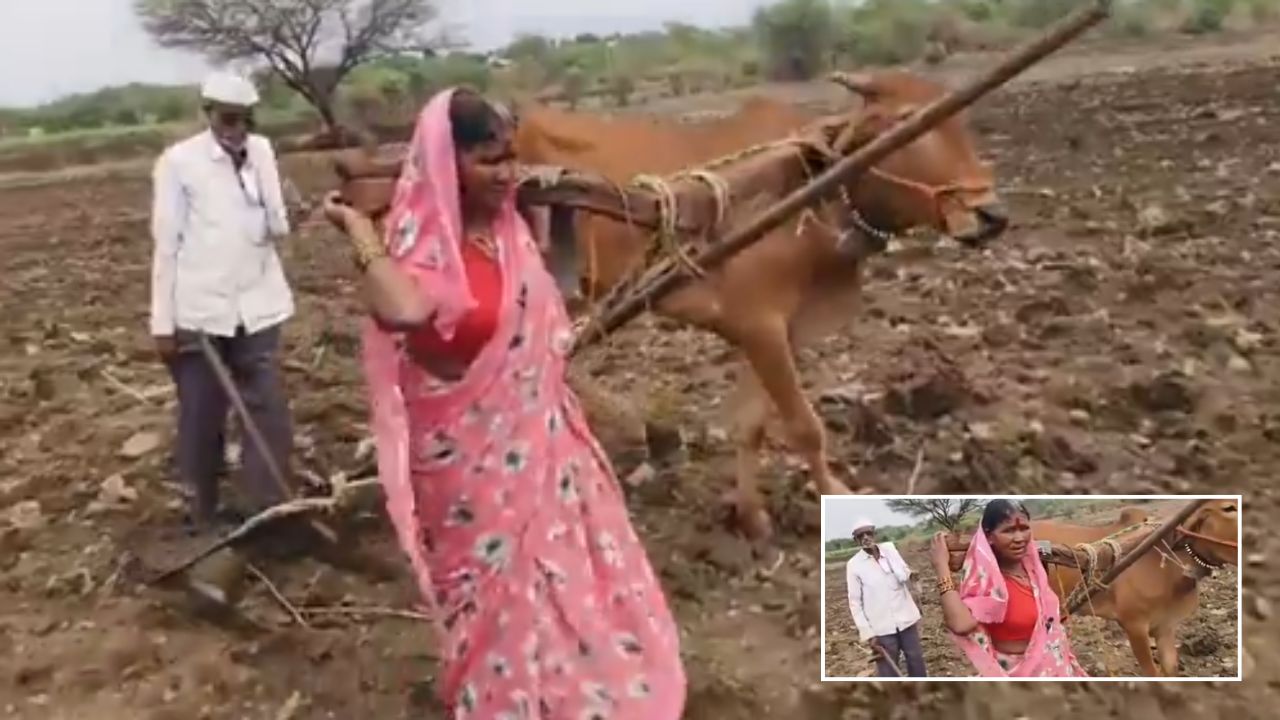 हाय रे मजबूरी: बहू बनी बैल ‘विकसित भारत’ बनाने का संकल्प और AI का शोर मचाने वाले कब लेंगे गरीबों की सुधि