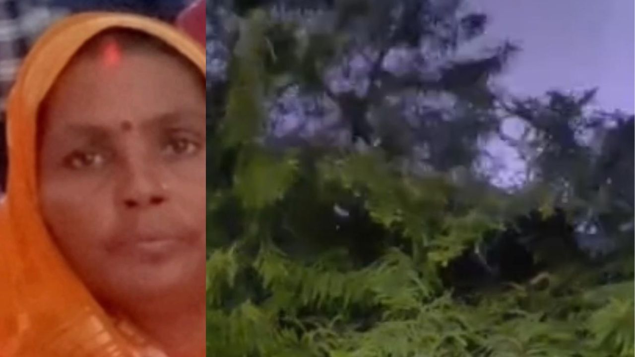 दरवाजे पर बैठी थी महिला, अचानक आसमान से गिरी मौत! गांव में पसरा मातम