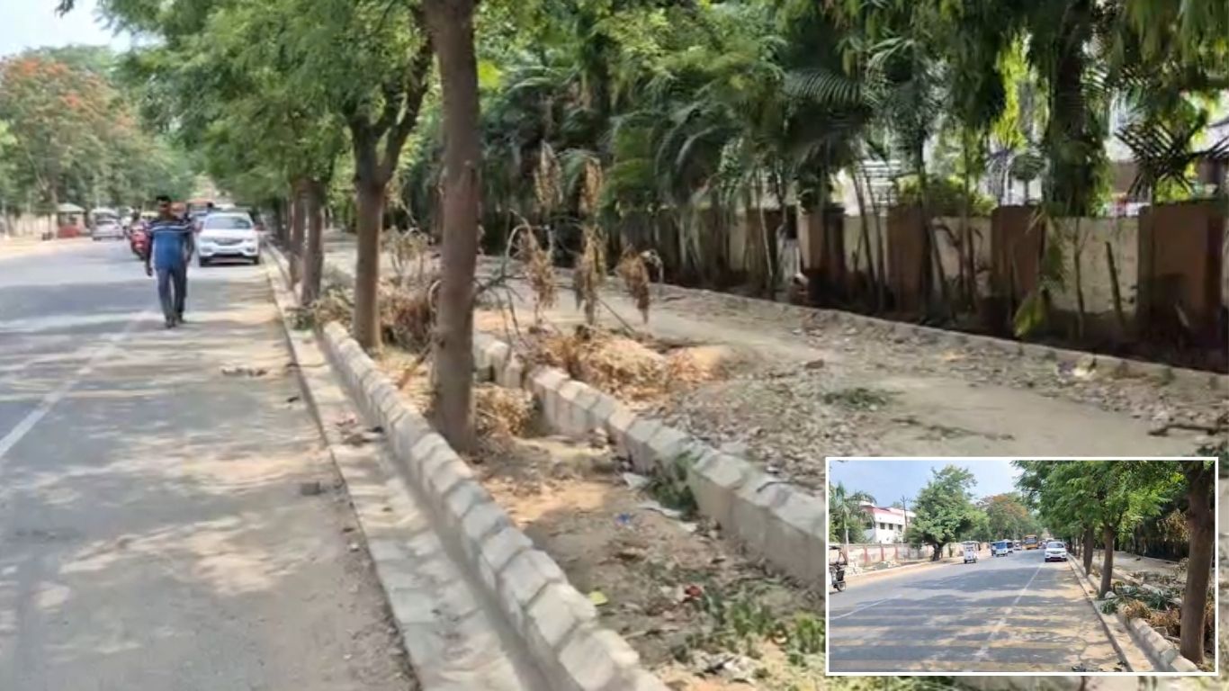 सड़कें चौड़ी हो रहीं, लेकिन क्या सिकुड़ रही है हरियाली? गोरखपुर में पेड़ों की कटाई पर उठे बड़े सवाल