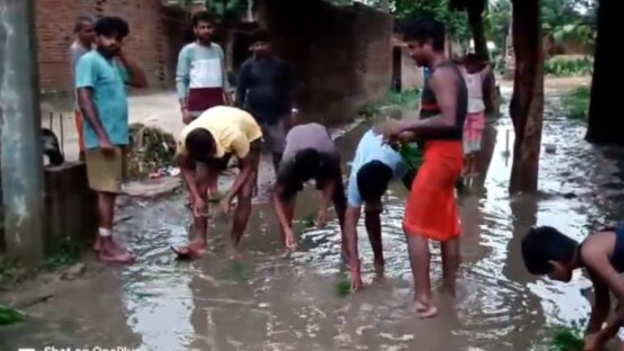 सड़क बनी खेत तो ग्रामीणों ने रोपा धान, जानिये फिर क्या हुआ महराजगंज में